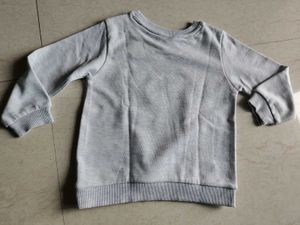 Cute Animal Planet Sweatshirt for 4-5 years boys