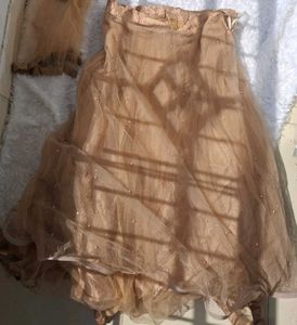Elegant Lehenga Choli