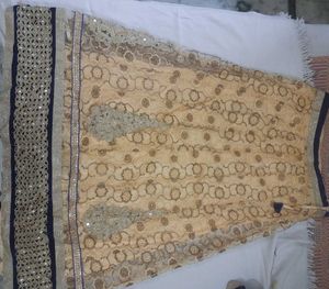 Elegant Royal Blue Velvet Blouse &amp; Net Lehenga