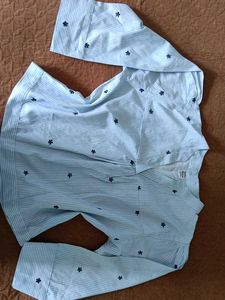 Blue Striped Floral Shirt