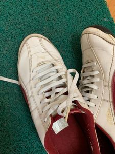 Puma Sneakers