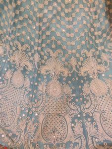 Elegant Embroidered lehenga