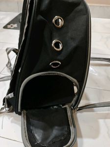 Transparent Cat Bubble Backpack