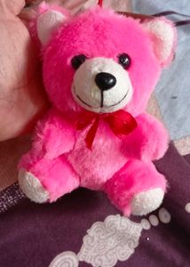 Cute Pink Teddy