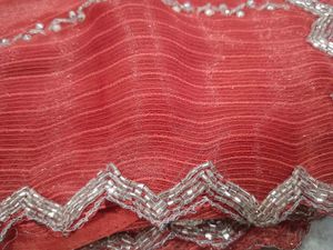 Stunning Coral Saree with Silver Embellishments