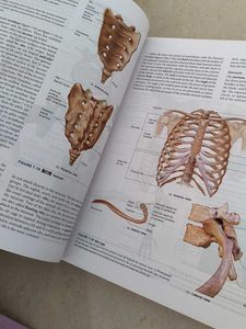 I Seeley's Anatomy and Physiology