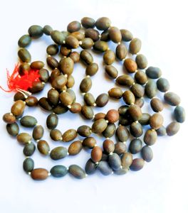 Lotus Seed Mala Beads