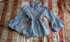 Blue striped Bell Sleeve Button-Up Top