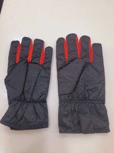 Warm Padded Gloves