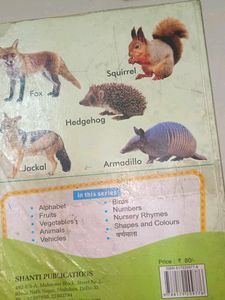 Kids' Animal &amp; Bird Books