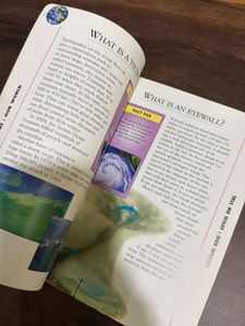 Tell Me What? Book - Fun Facts for Kids