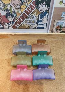 Pastel icy Matte Claw Clips