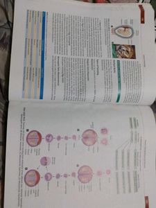 Inderbir Singh's Human Embryology
