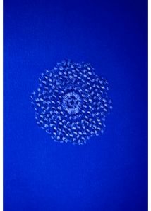 Vibrant Blue Ethnic Embroidery Kurti
