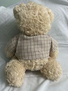 Teddy Bear Premium Quality Plush Toy