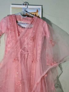 Elegant Pink Embellished Gown
