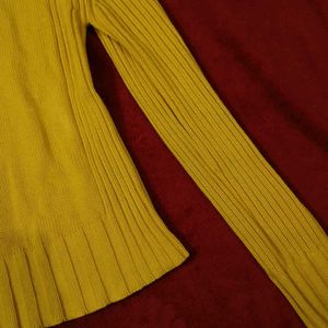 Yellow Fall/winter Turtle Neck Sweater(Women's)