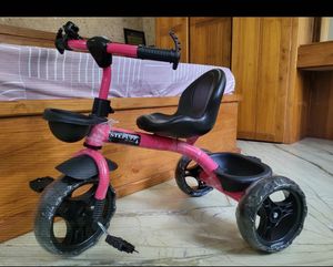 Pink Stepup Tricycle