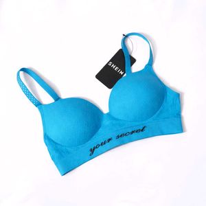 Shein Blue Bra - 'Your Secret'
