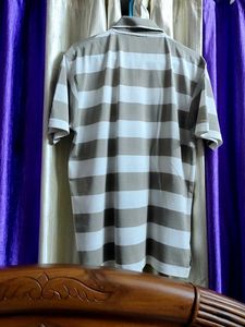 Striped Polo T-Shirt