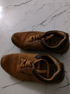 Casual/ Formal Shoes