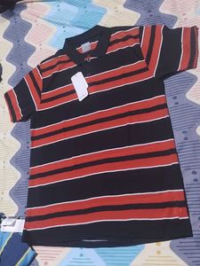 Striped Polo Shirt