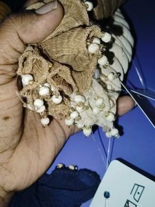 Embellished Dupatta with Beads