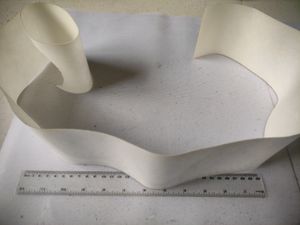 Shoe SOLE Protector For Costly Sneakers