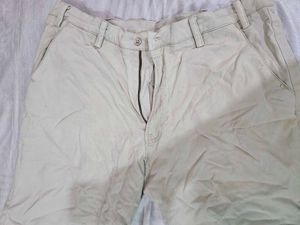 Classic Beige Pants