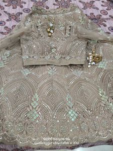 Stunning Sequin Lehenga Choli Set