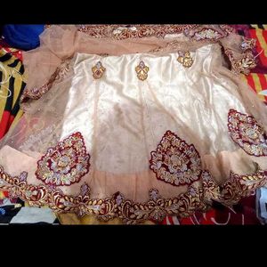 nude Gorgeous Lehenga Choli saree