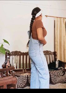 Light Wash Denim Overalls