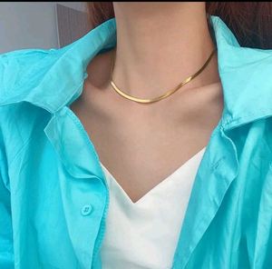 Gold Flat Snake Chain Necklace