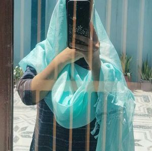 Beautiful Sea Blue Organza Dupatta