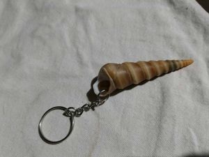 Unique Seashell Keychain