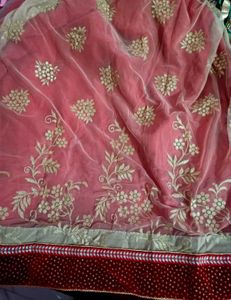 Elegant Red And Golden Saree