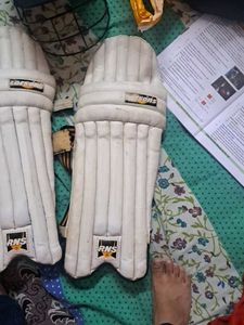 Cricket Kit Combo