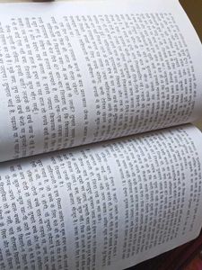 Rangbhoomi by Premchand