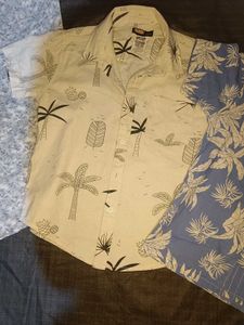 Pack of 3 shirt