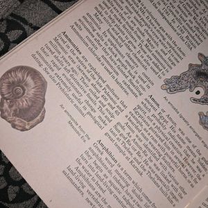 1984 Giant Book of Knowledge - Vintage Hardcover