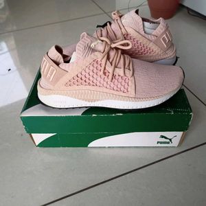 PUMA TSUGI NETFIT EVOKNIT Fixed Price