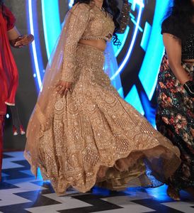Sparkling Gold Lehenga Choli