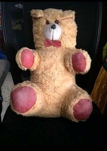 Tedy Bear