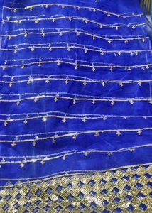 Blue Lehenga Choli Set
