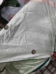 Elegant Pastel Green Saree
