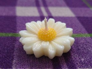 set of 2 Daisy Flower Scented Candles with free su