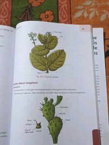 Comprehensive Biology Lab Manual Class XII