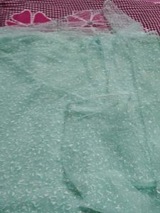 Stunning sarre with petticoat