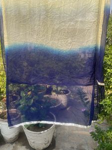 Elegant Ombre Saree