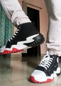 Converse Shors